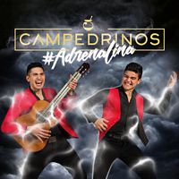 #adrenalina